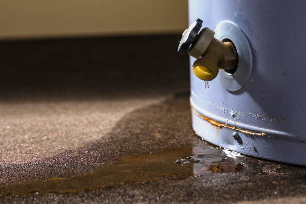 Best Flood restoration services  in Highland Park, IL