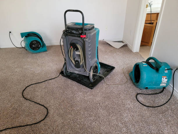 Best Water damage cleanup near me  in Highland Park, IL