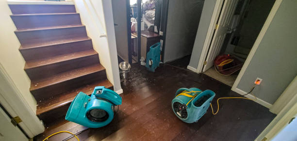 Best Water damage cleanup near me  in Highland Park, IL
