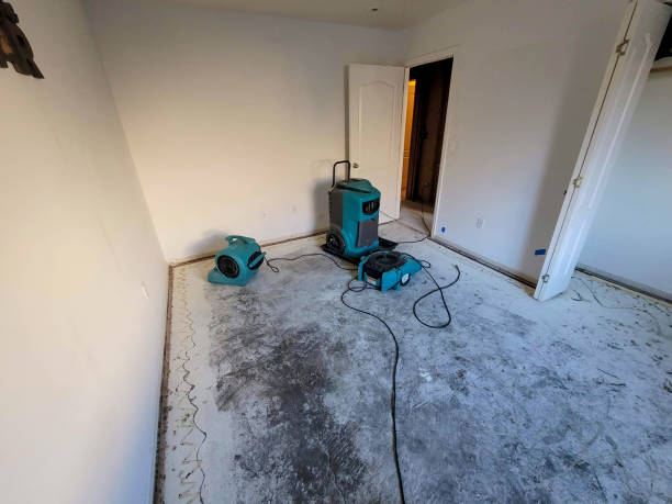 Best Local water damage restoration  in Highland Park, IL