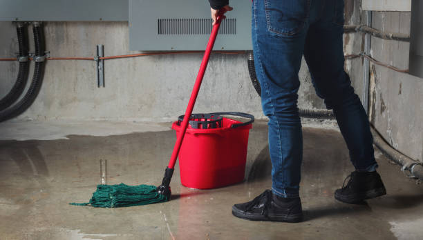 Best Water damage restoration near me  in Highland Park, IL