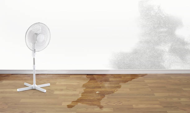 Best Fire Damage Restoration  in Highland Park, IL