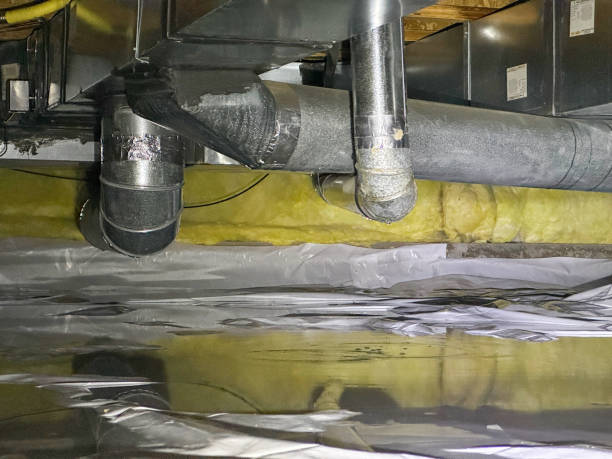 Best Professional water damage repair  in Highland Park, IL