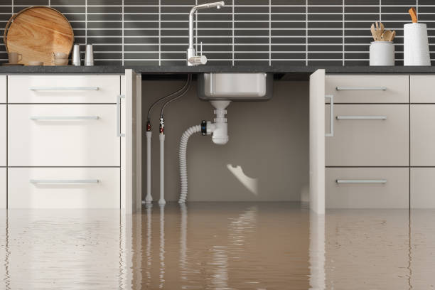 Best 24/7 water damage repair  in Highland Park, IL