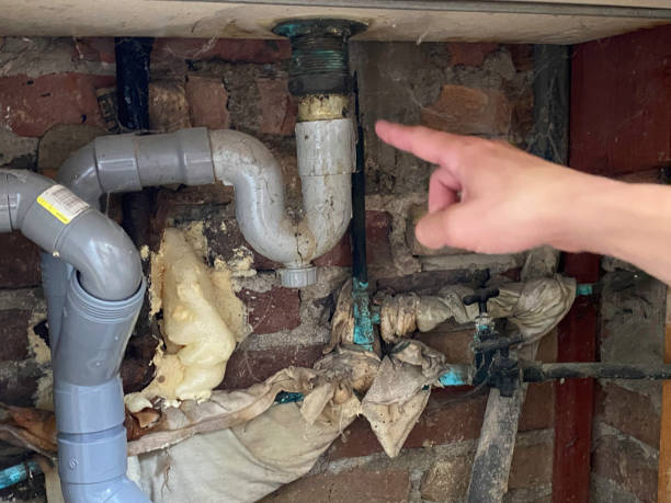 Best Water damage contractors near me  in Highland Park, IL