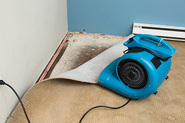 Best Emergency water damage restoration  in Highland Park, IL